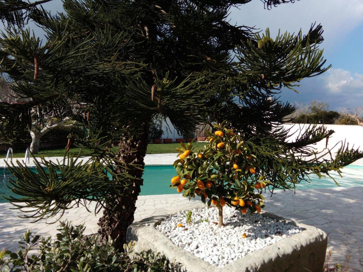 Casa Vacanza Augusto Уджано-ла-К'єза Екстер'єр фото